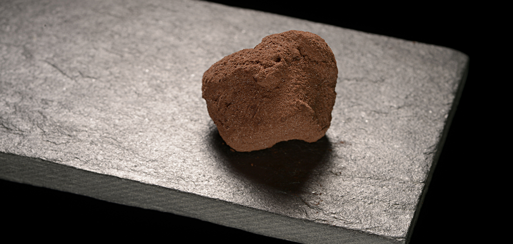 69f076dabe6cf9e669599823aac231de