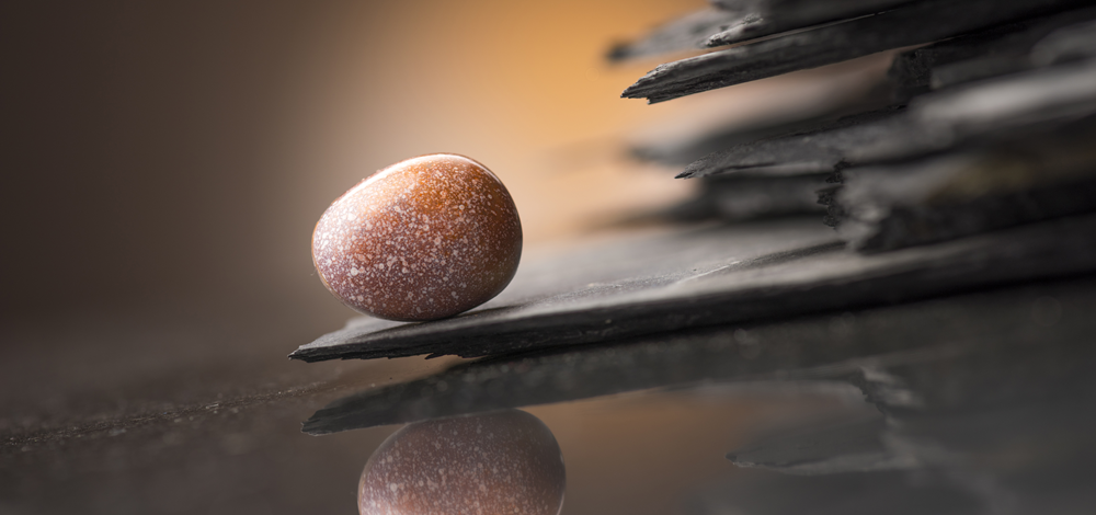 e8a288413bb262c62c580ca43dfb9154