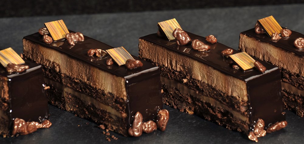 95966f70994d725246725c1c416b2bca