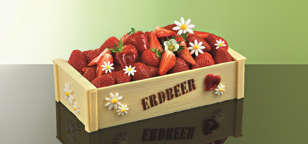 dd2f7d8888c31ce917302e0a65e82b81