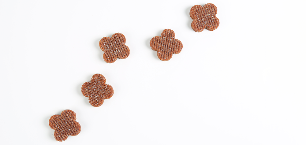 4343ec3b9a90bdb7eec45a50197ff3c9